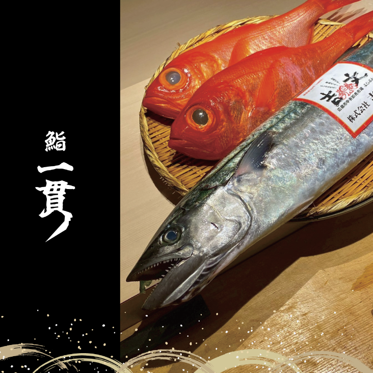 高級寿司 - 新鮮な魚